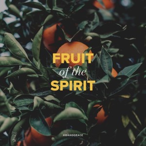 Sweet Peace | The Fruit of the Spirit