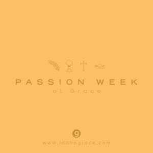 The Last 24 | Passion Week