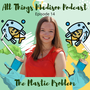 All Things Madison, Episode 14 "The Plastic Problem" with award-winning children's book author Aubre Andrus