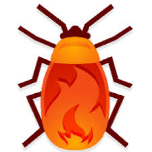 Episode 130: VIDEO - Aussie Firebug shares why he is no longer obsessive about F.I.R.E.