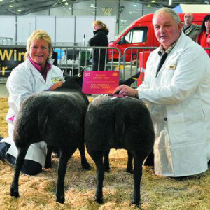 198 - People in Livestock - Steve and Sara Gibbons