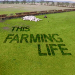 143 - Media Special - This Farming Life
