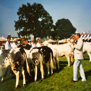 21 - The Continentals - The Belgian Blue breed