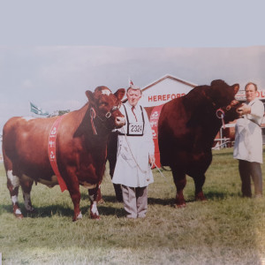 53 - History of Native Breeds - Shorthorn Cattle - Part 2
