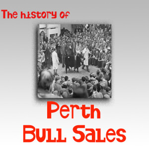 114 - Perth Bull Sales Special