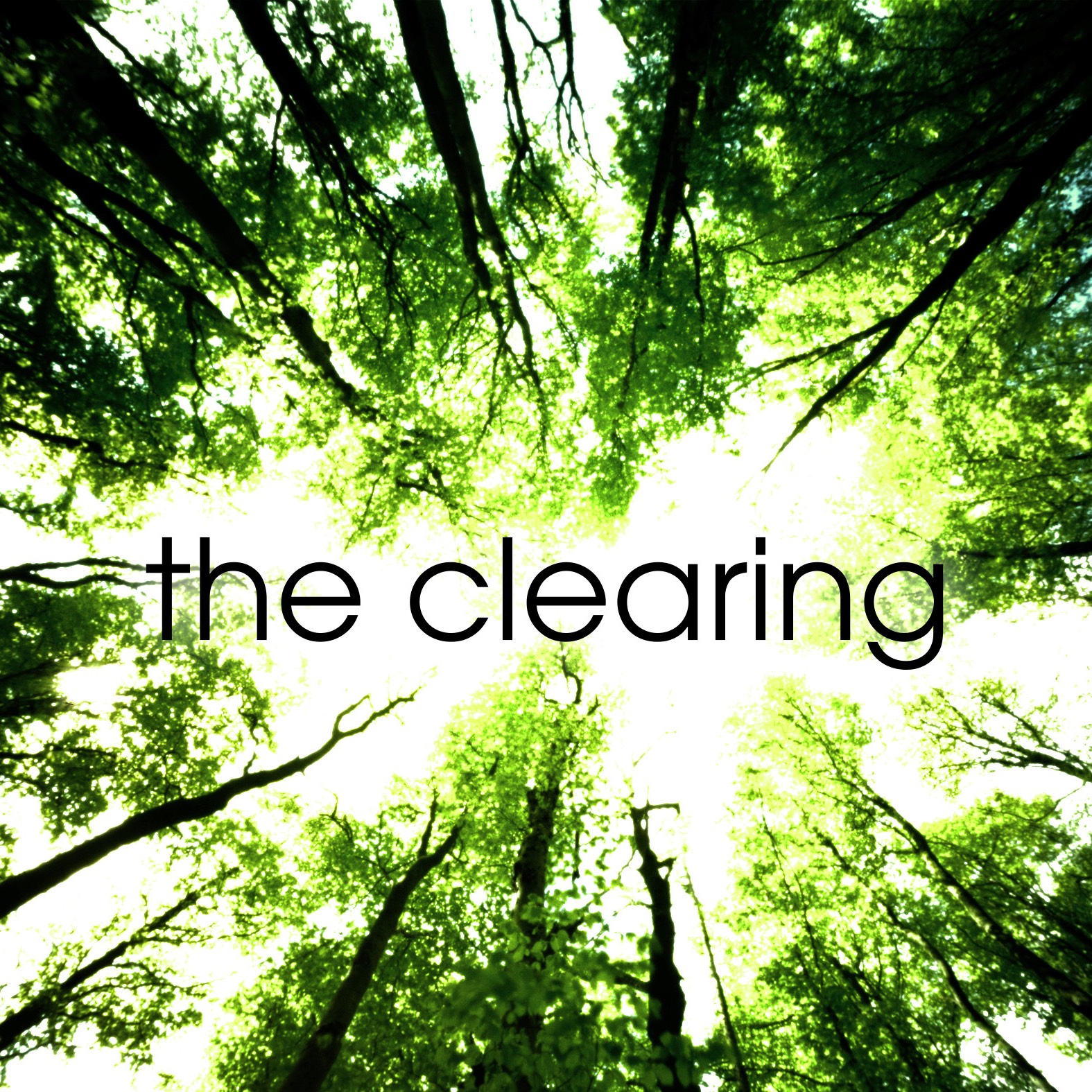 The Clearing: The Great Escape