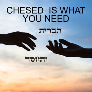 CHESED IS WHAT YOU NEED