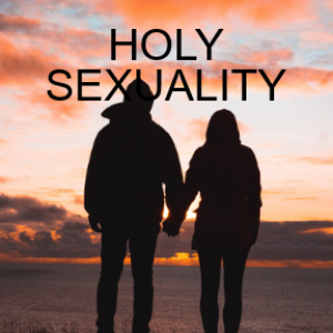 HOLY SEXUALITY