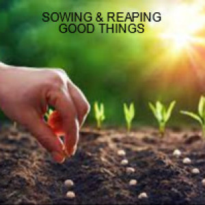SOWING & REAPING GOOD