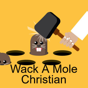 Wack A Mole Christian