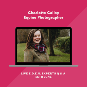 Behind the Equine Photographer’s Lens with Charlotte Colley Creative