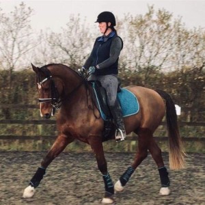 Q&A with Nicky Allen of Woodwick Farm-Equine Physiotherapy and Rehabilitation Centre