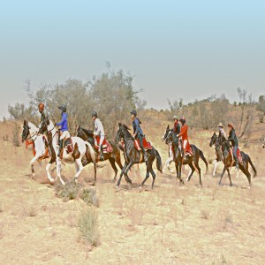 Marwari horses, adventures in India, and education with Caroline Moorey