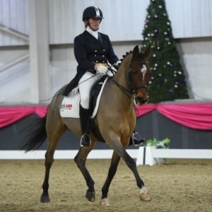 Amy Blount Dressage - Just giving things a go, overcoming post concussion syndrome and new ways to move past adversity and even embrace it!