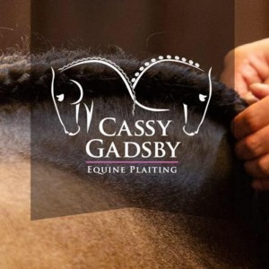 In-hand work, Learning from the Best, Working Equitation and Plaiting with Cassy Gadsby