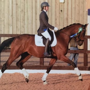 Katie shares her expertise about Riviera PR & Deciphering Dressage 