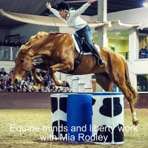 Equine minds and liberty work with Mia Rodley