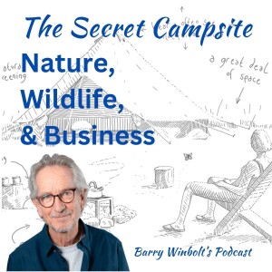 Nature, Wildlife and Business – Wellbeing at The Secret Campsite