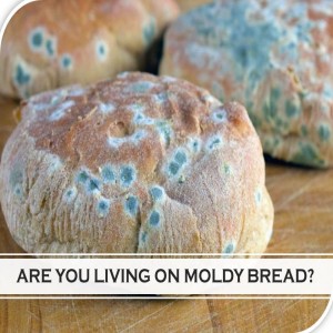 Are You Living on Moldy Bread