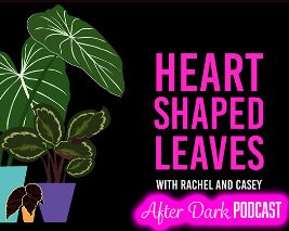 HSL After Dark Podcast Road Trip Edition - Ep52