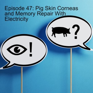 Episode 47: Pig Skin Corneas and Memory Repair With Electricity