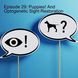 Episode 29: Puppies! And Optogenetic Sight Restoration