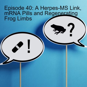 Episode 40: A Herpes-MS Link, mRNA Pills and Regenerating Frog Limbs