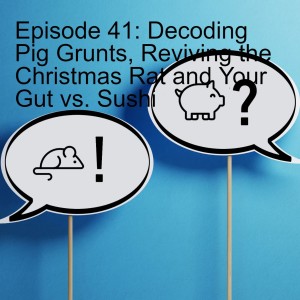 Episode 41: Decoding Pig Grunts, Reviving the Christmas Rat and Your Gut vs. Sushi