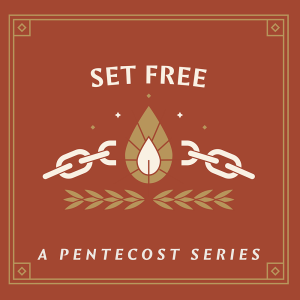 Plentiful Harvest, Set Free, June 18, 2023 Sermon Audio - Pastor Anthony Gerber