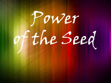 Power of the Seed Sermon #4