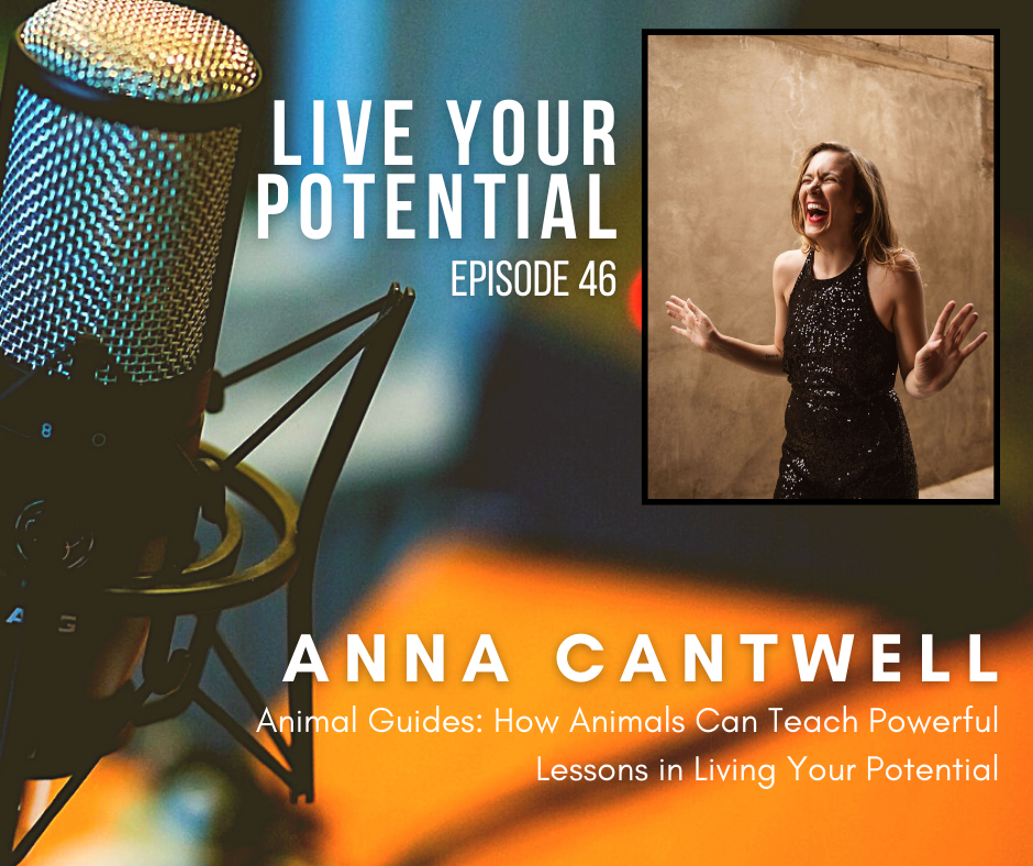 E46: Animal Guides Interview With Anna Cantwell