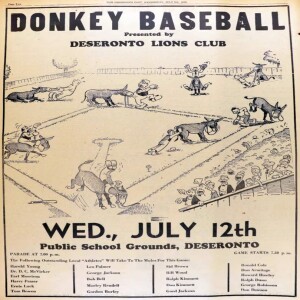 79 Donkey Baseball