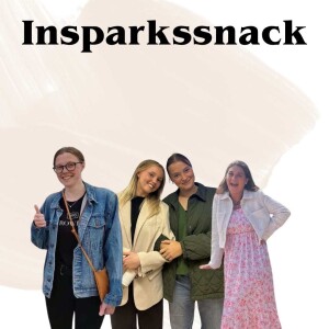 29/9 Insparkssnack