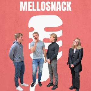 19/2 Mellosnack