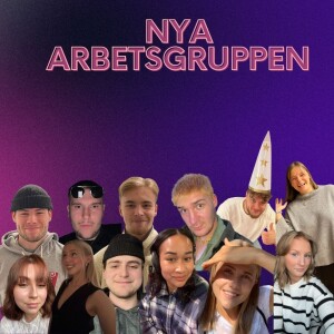 13/1 Nya arbetsgruppen