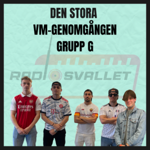 5/11 Den stora VM-genomgången: Grupp G