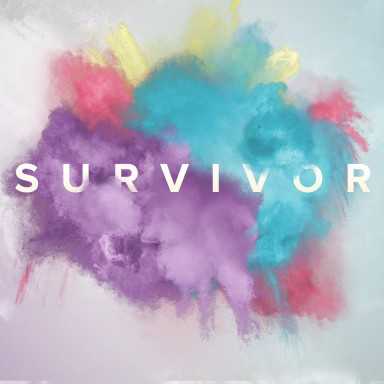 Survivor (Week 8) - Surviving Stress (Matthew 11:25-30)