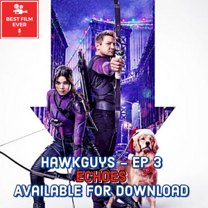 HawkGuys (Ep 3) - Echoes