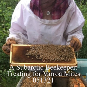 A Subarctic Beekeeper: Treating for Varroa Mites 051321