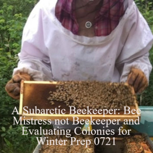 A Subarctic Beekeeper: Bee Mistress not Beekeeper and Evaluating Colonies for Winter Prep 0721