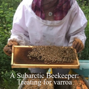 A Subarctic Beekeeper: Treating for varroa