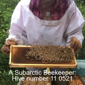 A Subarctic Beekeeper: Hive number 11 0521