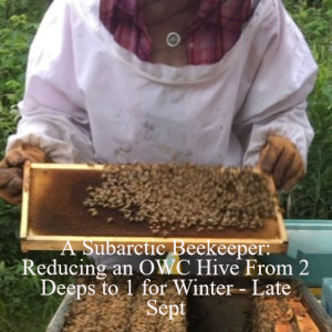 A Subarctic Beekeeper: Reducing an OWC Hive From 2 Deeps to 1 for Winter - Late Sept