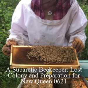 A Subarctic Beekeeper: Lost Colony and Preparation for New Queen 0621