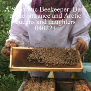 A Subarctic Beekeeper: Bees at the entrance and Arctic queens and daughters 040221
