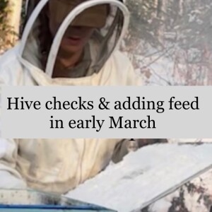 Early March: Hive checks and adding fees