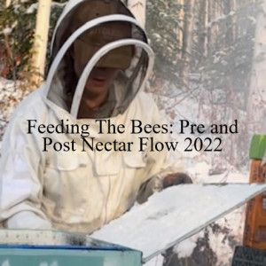 Feeding The Bees: Pre and Post Nectar Flow 2022