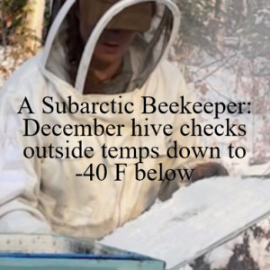 A Subarctic Beekeeper: December hive checks outside temps down to -40 F below