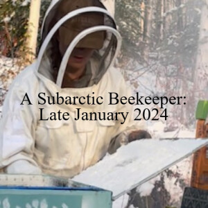 A Subarctic Beekeeper: Late January 2024, heading to -47F