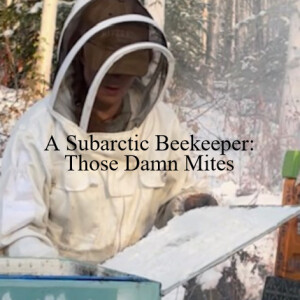 A Subarctic Beekeeper: Those Damn Mites